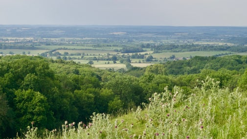 The view of the rolling countryside from Dover's Hill, Gloucestershire.